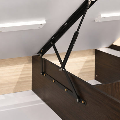 Astra Queen — detail-storage