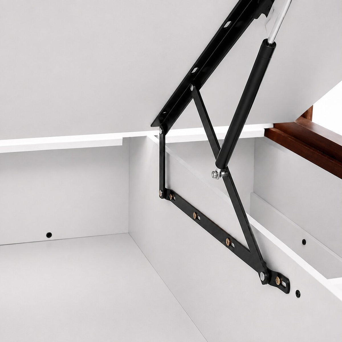 Vega King — detail-storage